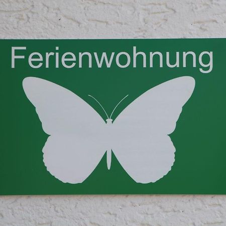 Ferienwohnung Schmetterling Trendelburg Exterior foto